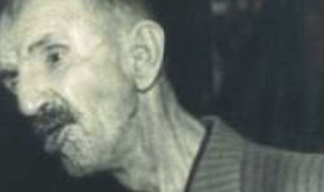 Antonio Ligabue. Un artista per metà bellunese