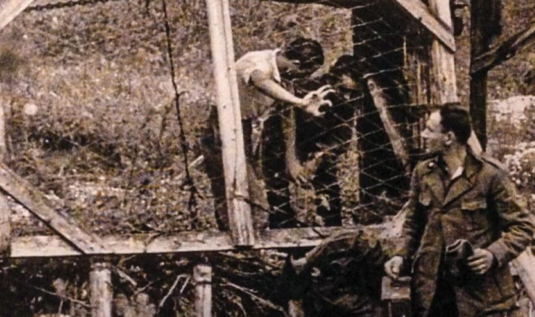 “La linea sottile”: il fascismo, la Svizzera e la frontiera (1925-1945)