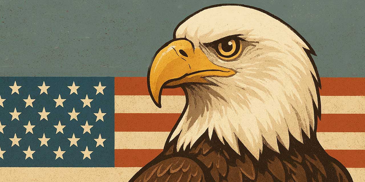 Aquila america
