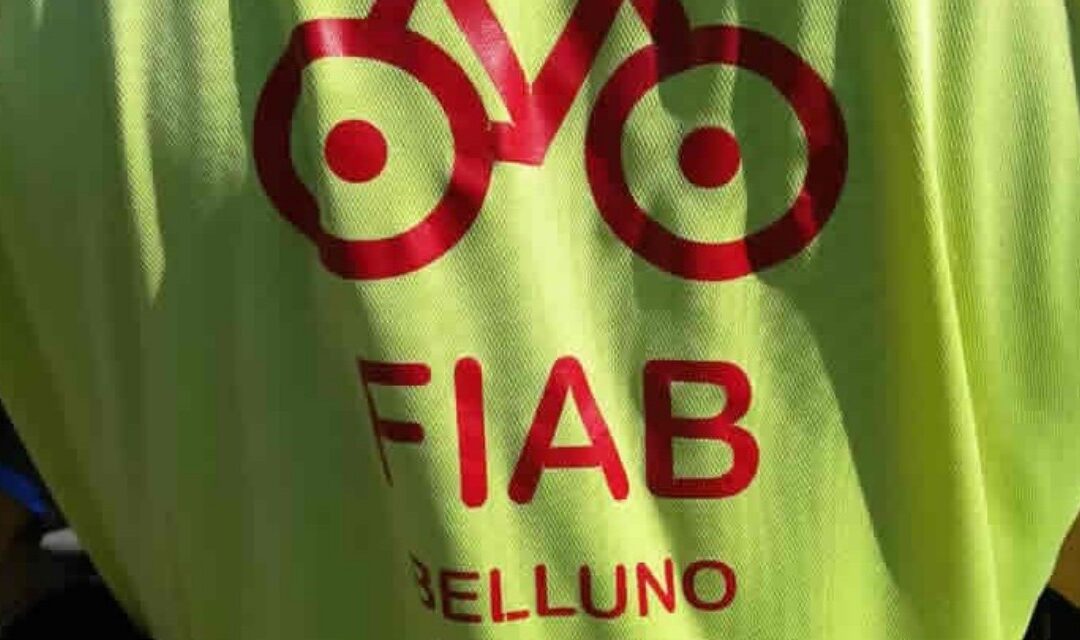Belluno, via San Gervasio e il nodo viabilità: la protesta della FIAB contro il nuovo semaforo