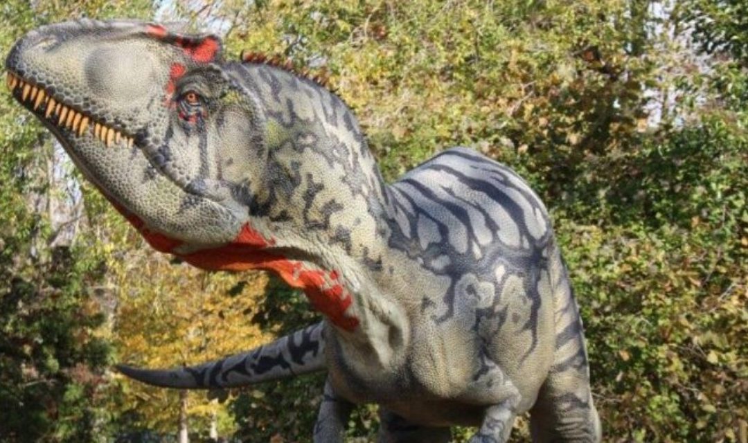 Auronzo di Cadore ospita i dinosauri: mostra estiva tra le Tre Cime e il Museo Civico