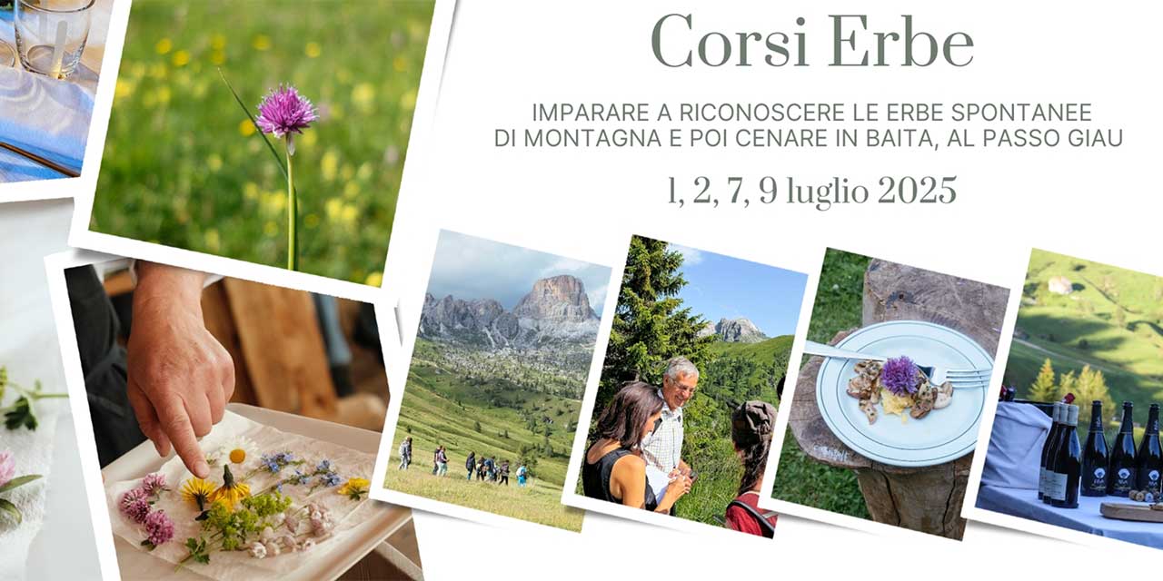 corsi_erbe