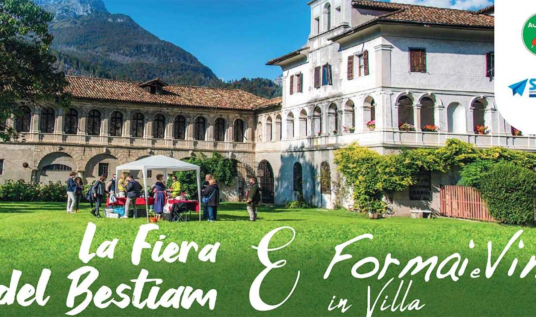 Agordo, presentazione del progetto STACCO alla Fiera del Bestiam 2025
