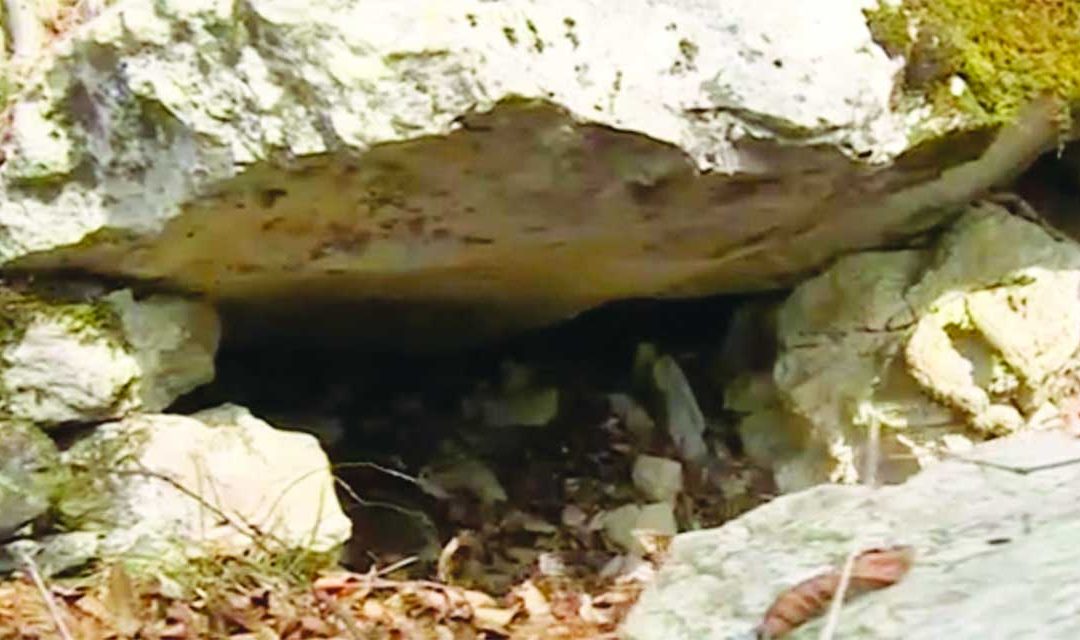 Monte Dolada: nuove scoperte al sito di Casere sul Sentiero dei Fortini