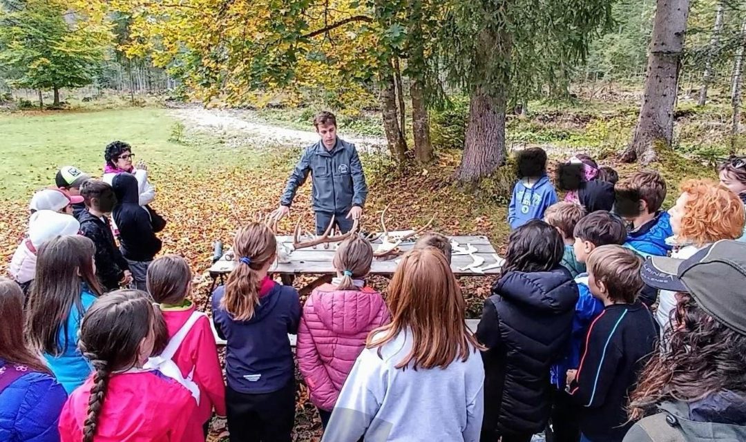 Auronzo di Cadore, giornata nella natura per i bambini della scuola primaria