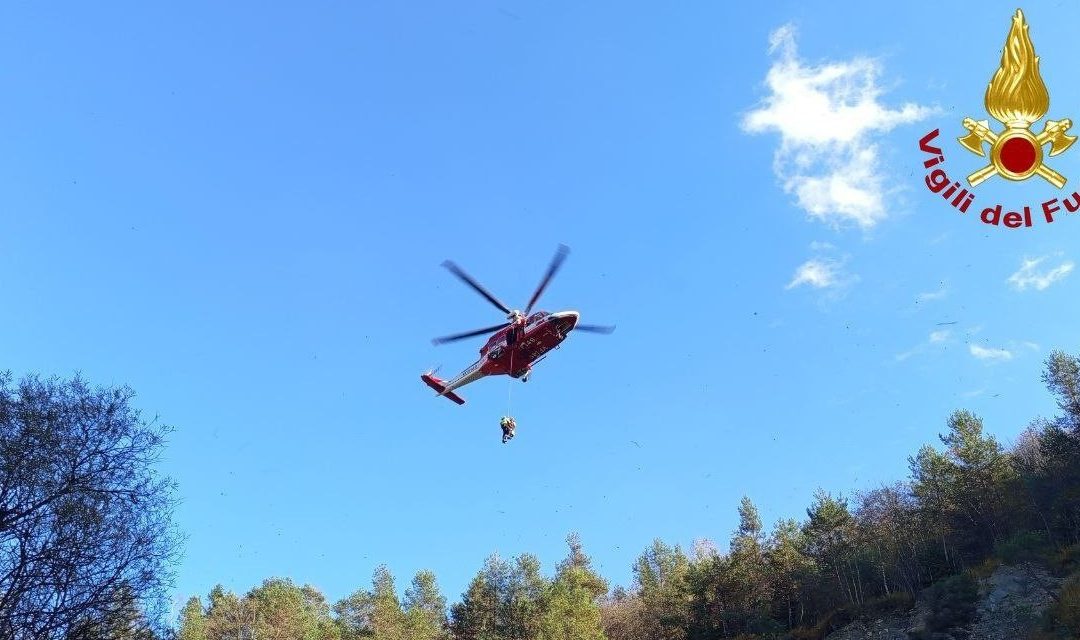 Ritrovato senza vita un uomo di 60 anni a Limana: era uscito per cercare funghi
