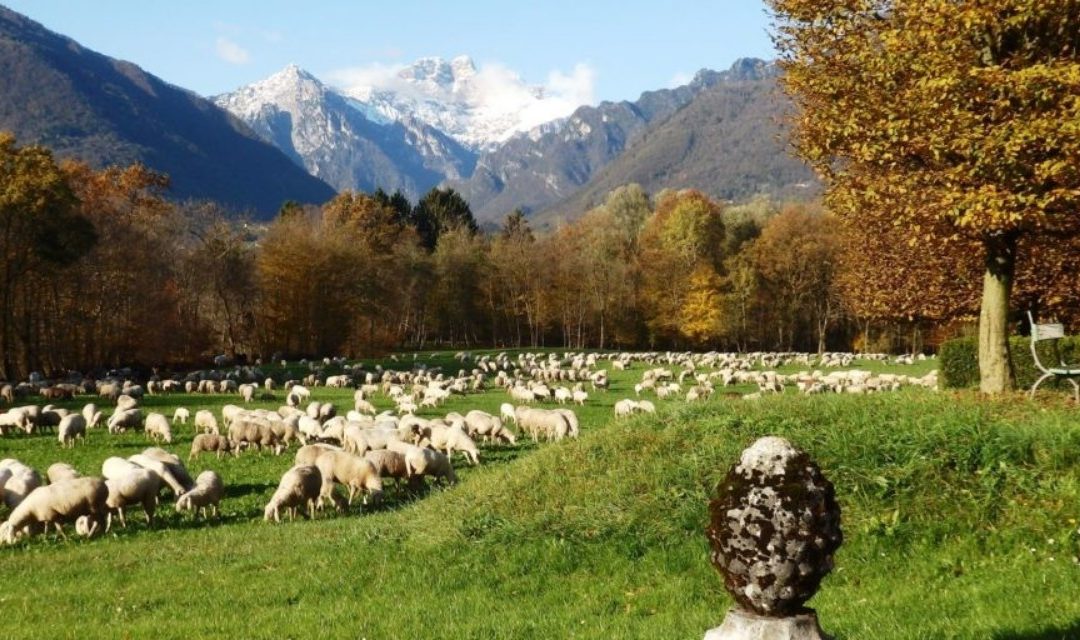 Val Canzoi, torna la camminata autunnale: una giornata tra natura e memoria