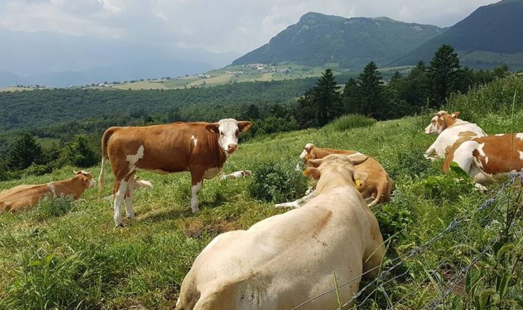 Fondo montagna, timori per il taglio alle Regioni: Uncem chiede il ripristino a 95 milioni
