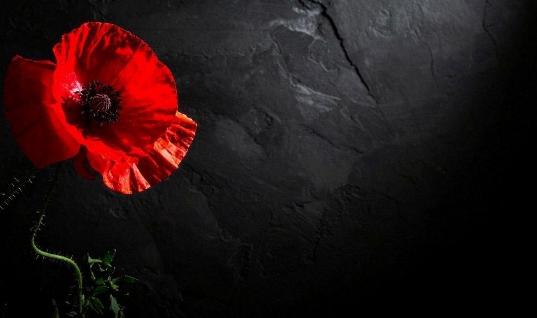 Giornata della Memoria: a Borgo Valbelluna un incontro sugli Internati Militari Italiani nei lager nazisti