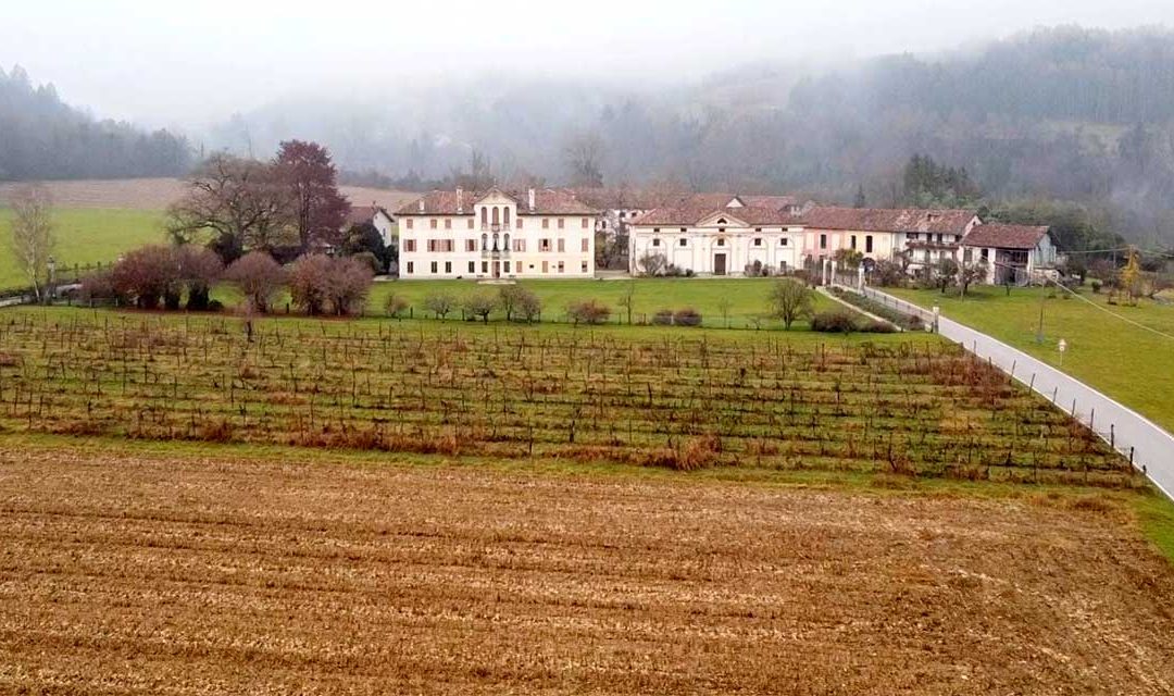 Terreni agricoli in Valbelluna: cresce il ricorso agli affitti, stabili le compravendite
