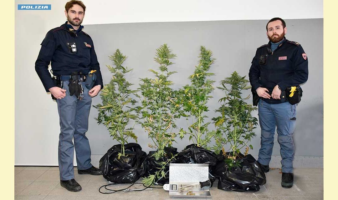 Longarone, inseguimento all’alba: sequestrati hashish e piante di marijuana, due giovani indagati