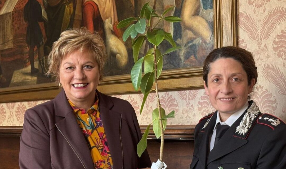 Belluno riceve una talea dell’Albero di Falcone: memoria civile e tutela ambientale al centro dell’iniziativa