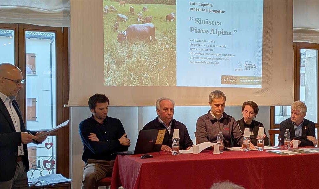 Limana guida il progetto “Sinistra Piave Alpina” per la rinascita del capitale naturale della Valbelluna