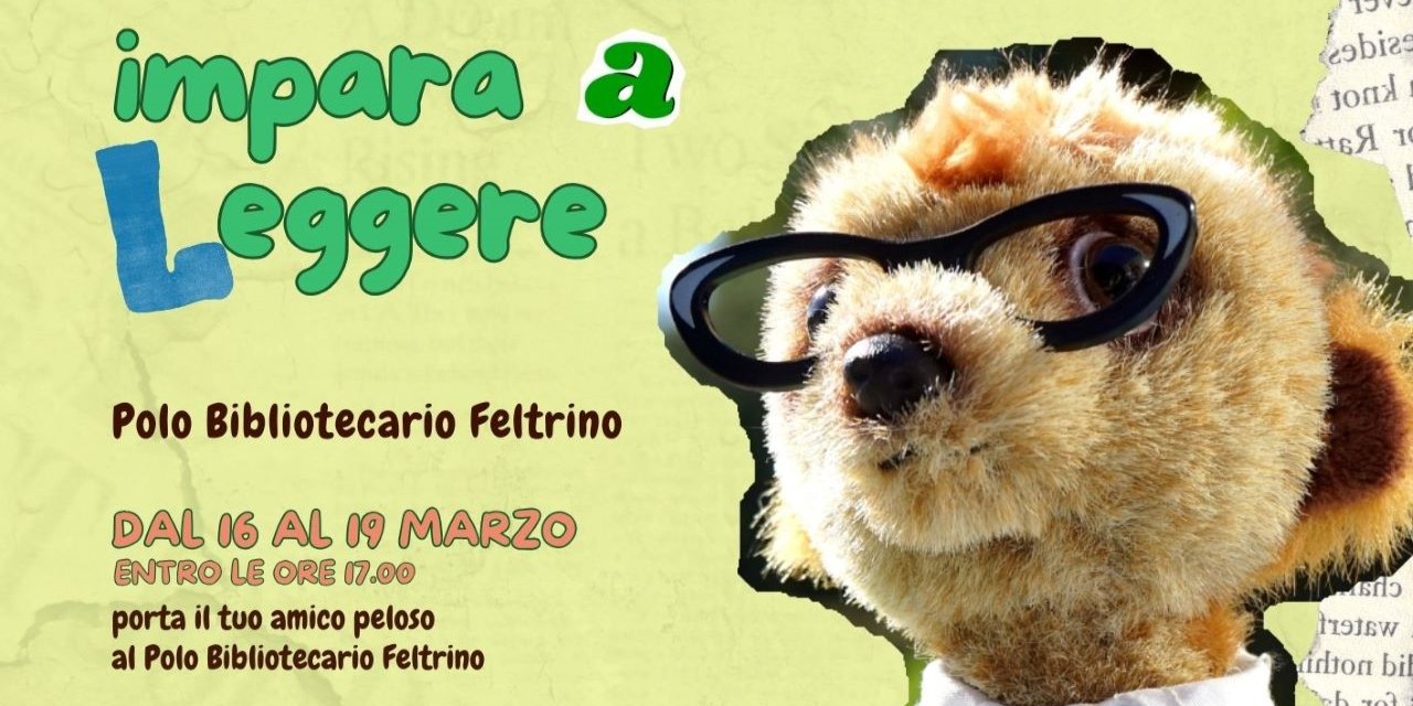 il-mio-peluche-impara-a-leggere-locandina1