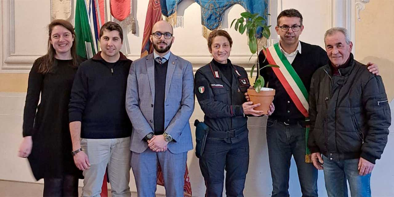 Longarone accoglie l'albero di Falcone