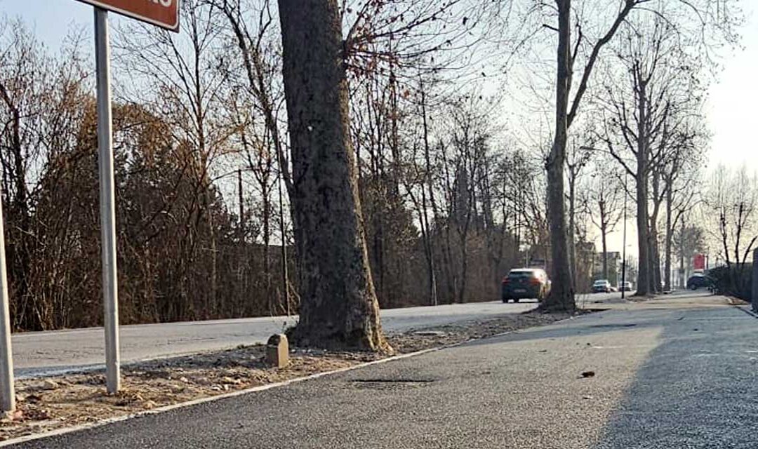 Pista ciclopedonale di via Tiziano Vecellio: lavori quasi conclusi e apertura prevista in primavera