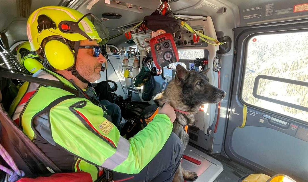 Soccorso Alpino, a Cortina il Corso Nazionale per le Unità Cinofile da Valanga
