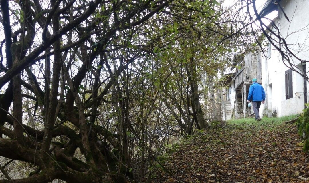 Alla scoperta della Valle del Cicogna: camminata di primavera tra storia e vita rurale