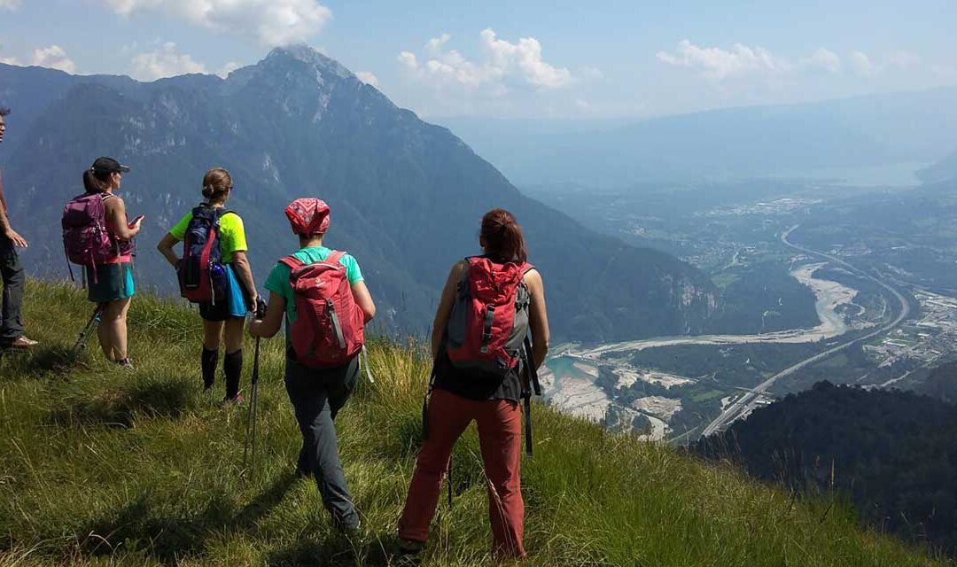Ricerca e natura, boom di adesioni per il corso sulle farfalle delle Dolomiti Bellunesi