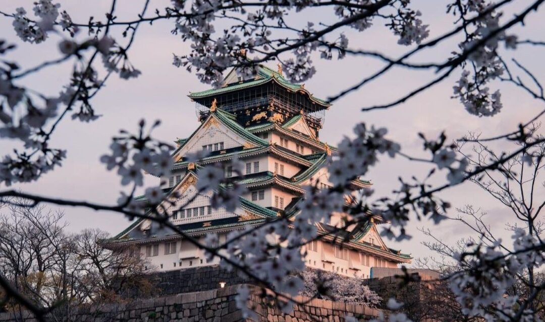 “Viaggio verso Oriente”: a Borgo Valbelluna la mostra fotografica di Riccardo Colle tra Hanoi e Tokyo