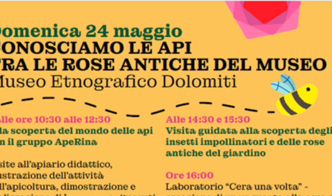 Conosciamo le api tra le rose antiche del Museo: il 24 maggio una giornata tra natura, laboratori e cultura