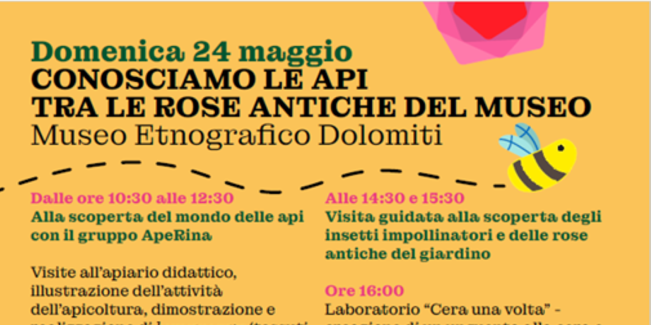 CONOSCIAMO LE API TRA LE ROSE