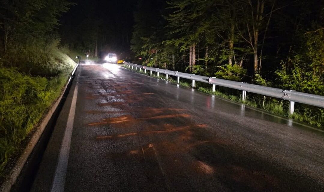 Viabilità, riaperta la SP 532 nel tratto tra Auronzo e il bivio per Casermette