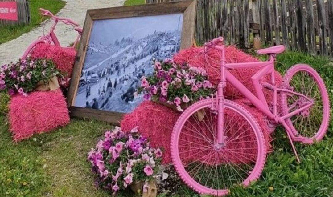 Alleghe si tinge di rosa: al via il concorso per balconi e giardini dedicati al Giro d’Italia