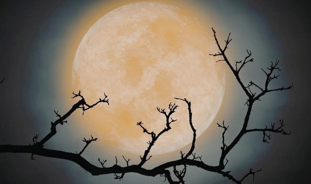 Escursione serale a Valmorel sotto la luna piena: dettagli, orari e come partecipare