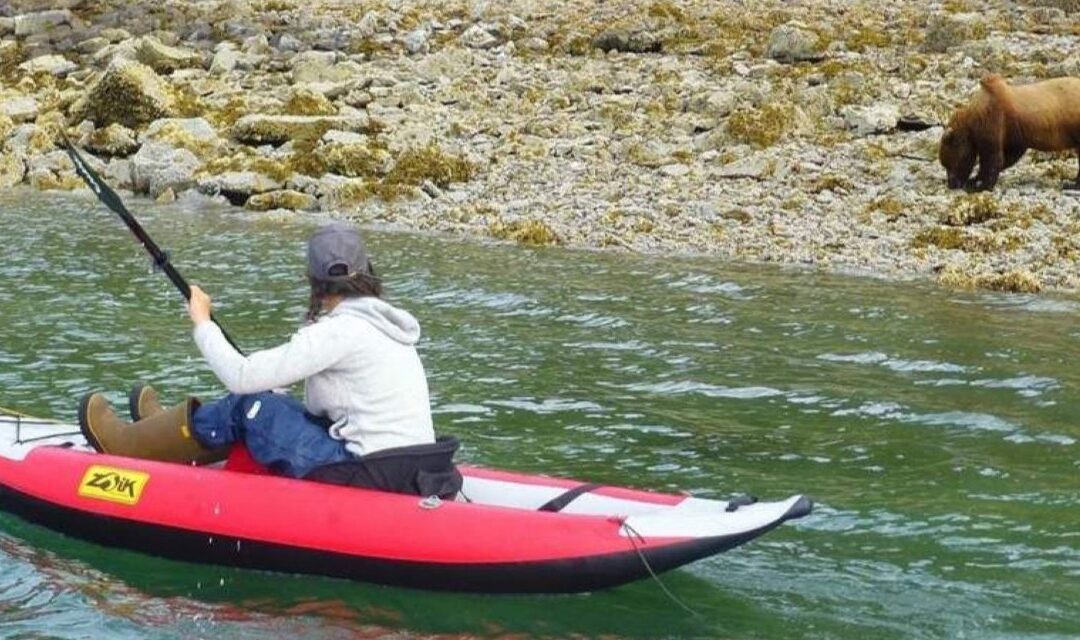 Cadore Environment Fablab, due incontri per scoprire gli equilibri della natura e il mondo dell’orso