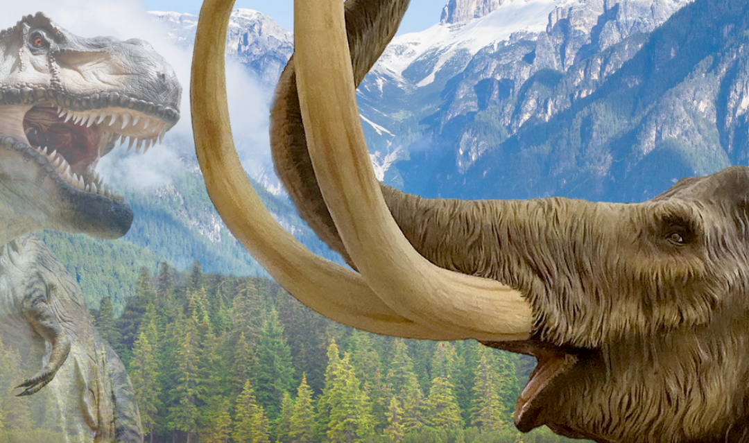 Ad Auronzo di Cadore arrivano i giganti dell’Era Glaciale: mammut, tigri dai denti a sciabola e bradipi giganti in mostra fino a settembre