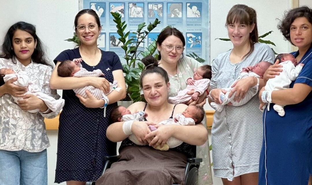 Sette nati in 24 ore all’ospedale di Belluno: il Punto Nascita segna +6,7% rispetto al 2025