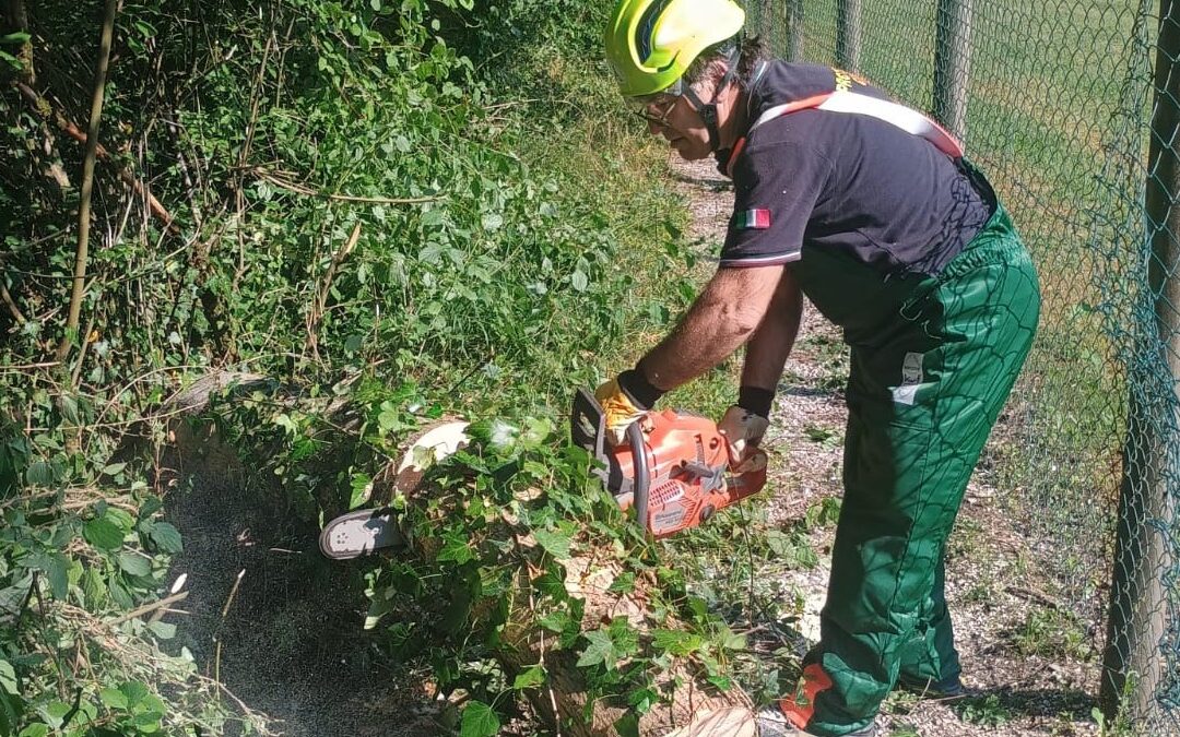 Protezione Civile, ripulita l’area demaniale sotto il Ponte degli Alpini