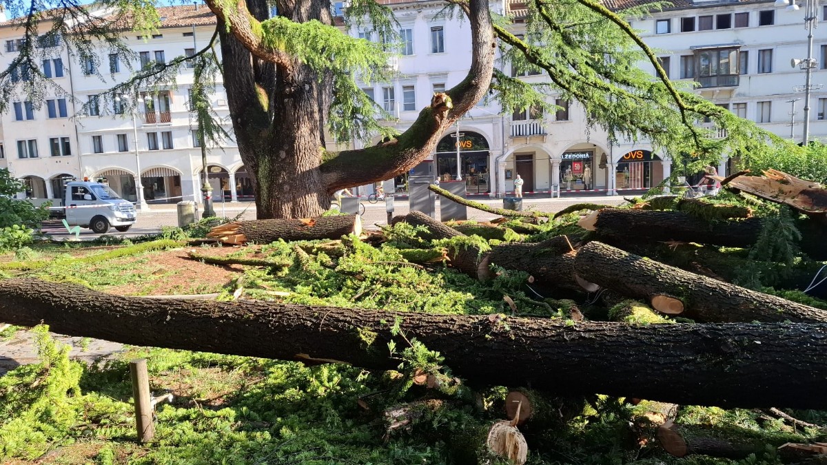 CEDRIPIAZZAMARTIRI_1_copy_1200x675