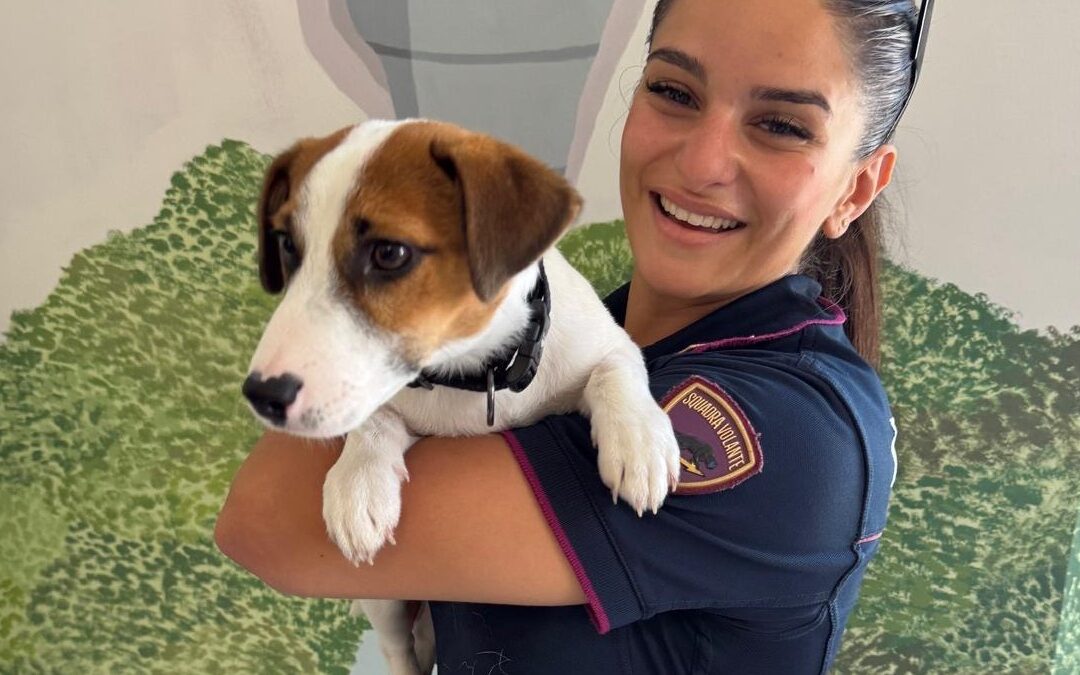 Belluno, cucciolo investito scortato dalla Polizia di Stato in clinica: salvato il piccolo Aiko