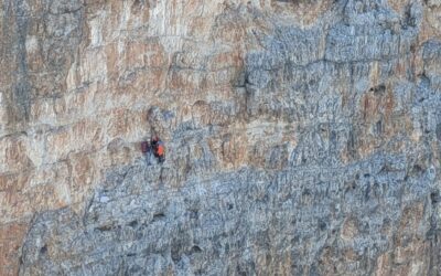 Alpinisti incrodati in Tofana di Rozes, recuperati con 90 metri di verricello