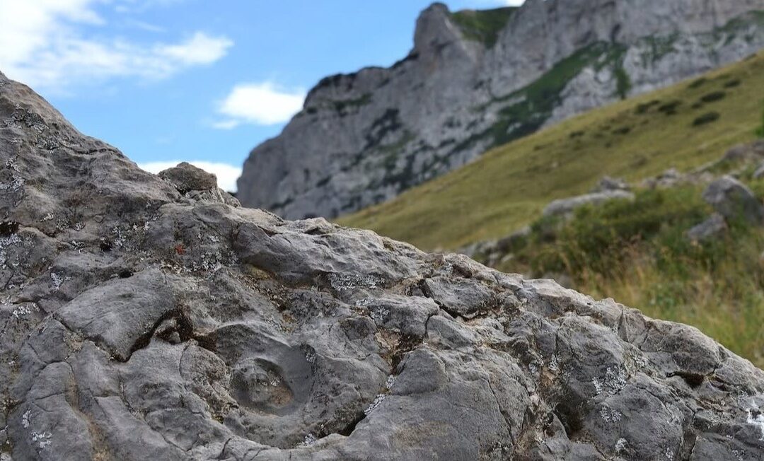 La storia geologica delle Dolomiti in mostra a Bassano: percorso interattivo a Palazzo Bonaguro