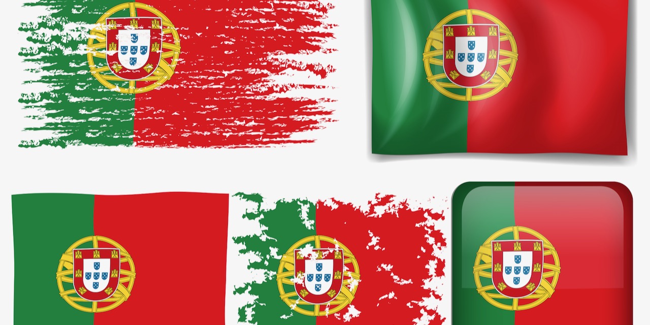 nu_flag_variety04