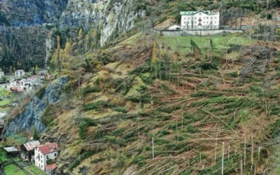 Tempesta Vaia, otto anni dopo: in Veneto conclusi 2.447 cantieri, investito oltre un miliardo di euro